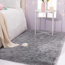 Load image into Gallery viewer, NOAHAS Fluffy Ultra Soft Indoor Modern Area Rugs Living Room Plush Carpets Play Mats
