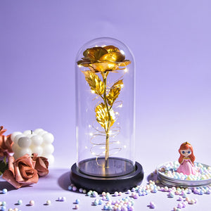 Christmas Gift Beauty and The Beast Preserved Roses In Glass Galaxy Rose Flower LED Light Artificial