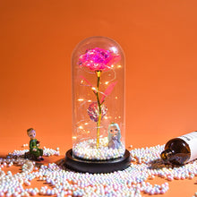 Load image into Gallery viewer, Christmas Gift Beauty and The Beast Preserved Roses In Glass Galaxy Rose Flower LED Light Artificial
