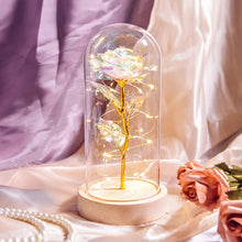 Load image into Gallery viewer, Christmas Gift Beauty and The Beast Preserved Roses In Glass Galaxy Rose Flower LED Light Artificial
