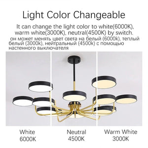 2022 Modern LED Chandelier for Bedroom Light Color Ceiling Chandeliers Lamp