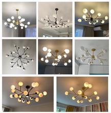 Load image into Gallery viewer, Creative Gold Black Chandelier Lights For Living Room
